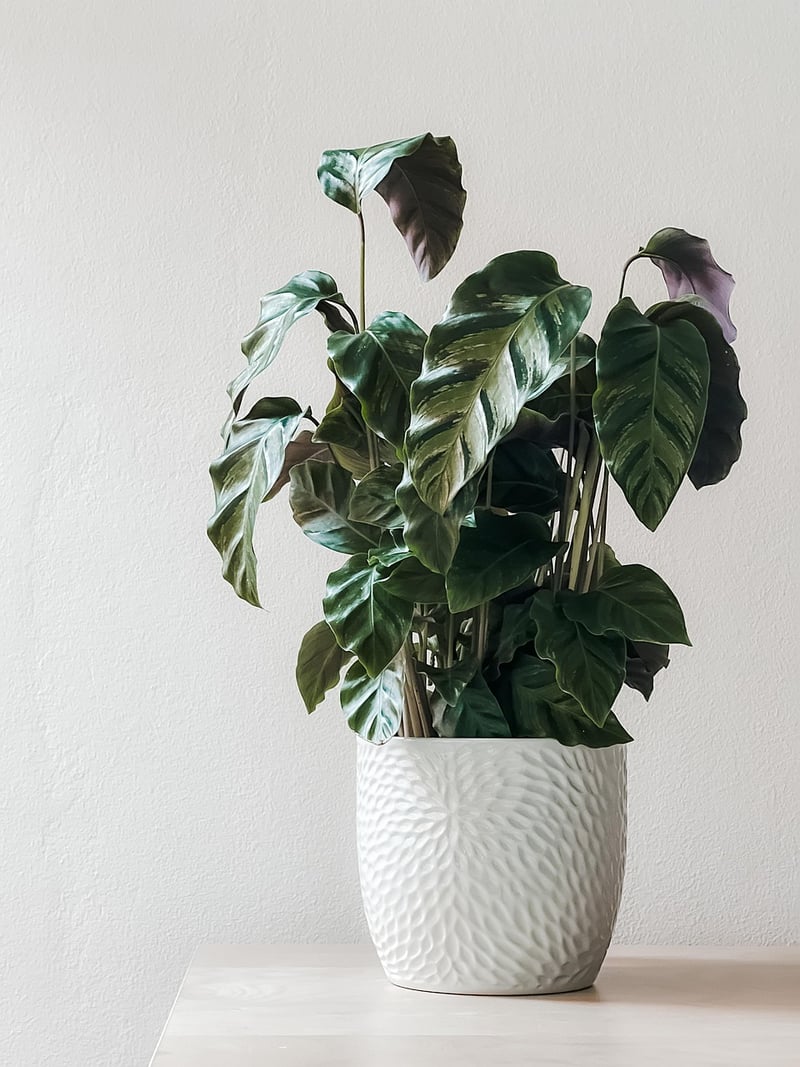 Tiered Plant Stand